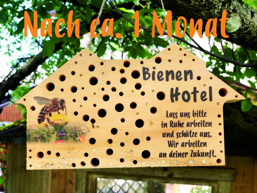 Bienenhotel