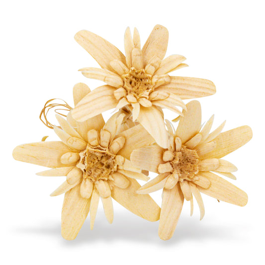 Zirben Edelweiß Hand geschnitzt 3er Bündel